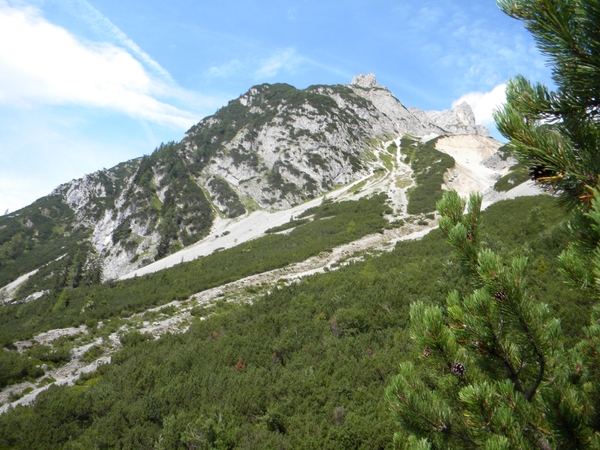 OOSTENRIJK 2010085