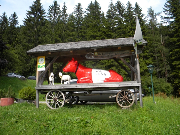 OOSTENRIJK 2010095