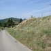 DSC01949