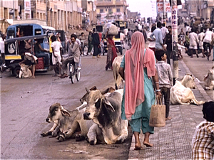 Jodhpur