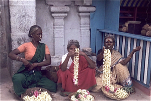 Varanasi  (Benares)