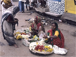 Varanasi  (Benares)