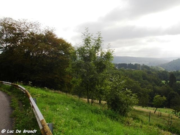 Ardennen wandeling Adeps Arbre