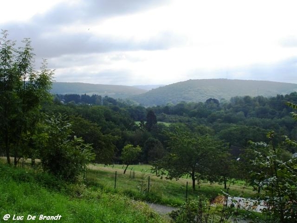 Ardennen wandeling Adeps Arbre