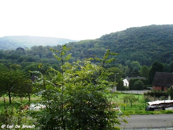 Ardennen wandeling Adeps Arbre