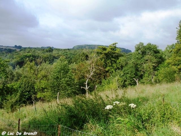 Ardennen wandeling Adeps Arbre