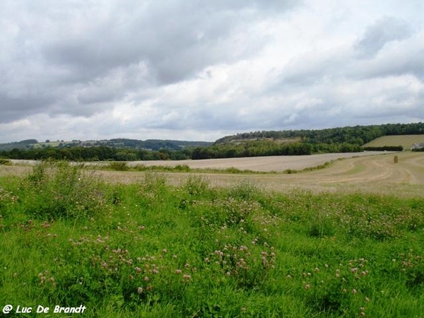 Ardennen wandeling Adeps Arbre