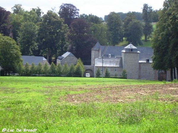 Ardennen wandeling Adeps Arbre