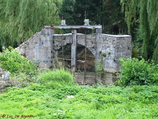 Ardennen wandeling Adeps Arbre