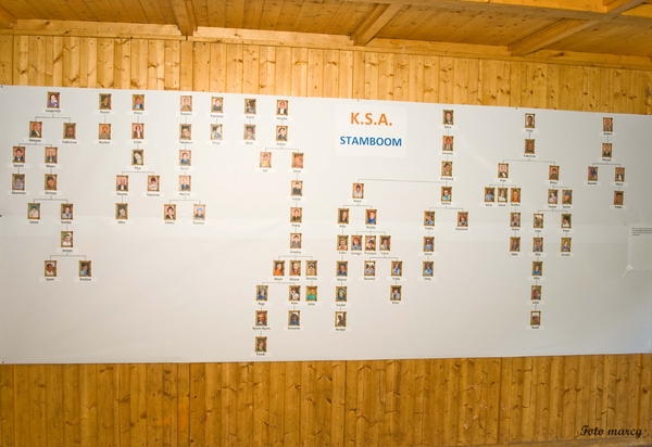 20100828 100 jaar KSA Gullegem (11)