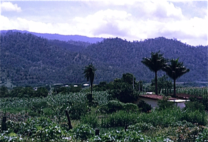 Cascada de Agua Azul