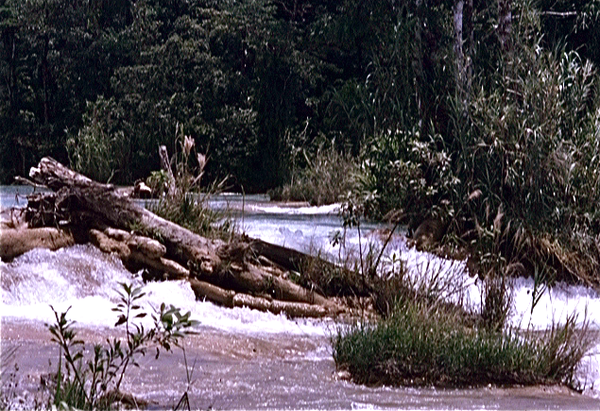 Cascada de Agua Azul