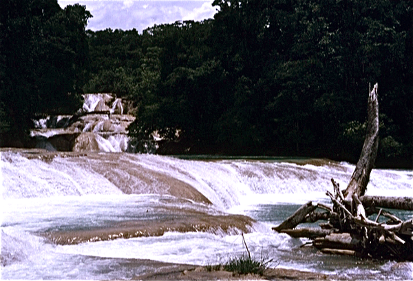 Cascada de Agua Azul