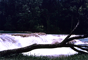 Cascada de Agua Azul