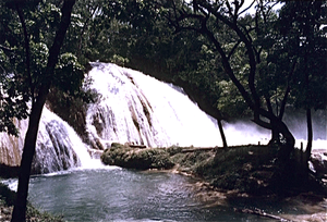 Cascada de Agua Azul