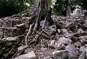 Palenque