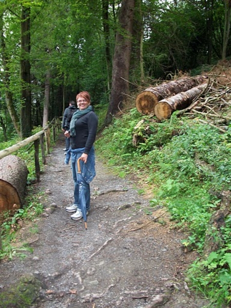 ardennen