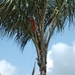 donderskamp pasen 2008 042