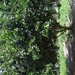 donderskamp pasen 2008 049