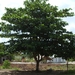donderskamp pasen 2008 055