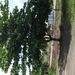 donderskamp pasen 2008 056