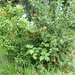 donderskamp pasen 2008 057