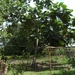donderskamp pasen 2008 061