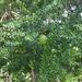 donderskamp pasen 2008 063