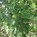 donderskamp pasen 2008 064