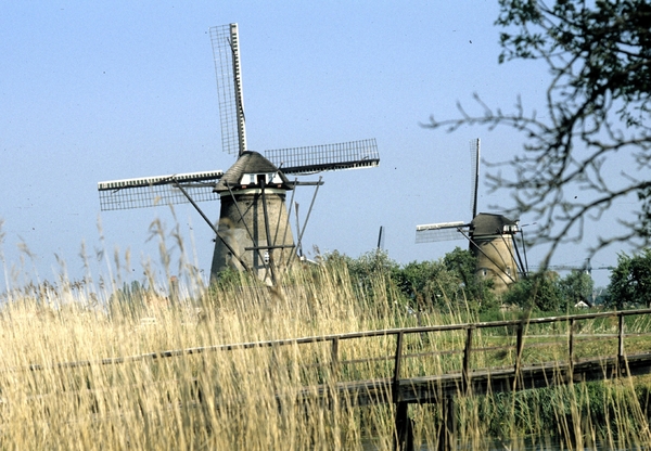 Kinderdijk