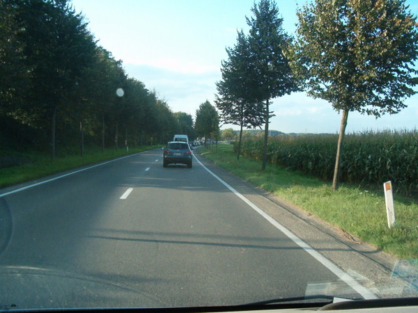 boeket , bloemstuk en champagne met bloemen 004