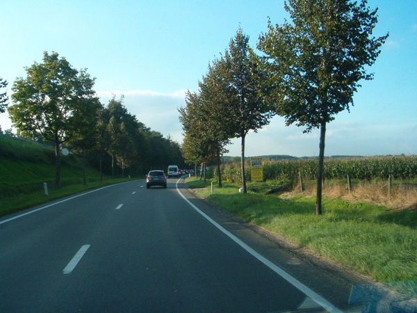 boeket , bloemstuk en champagne met bloemen 003