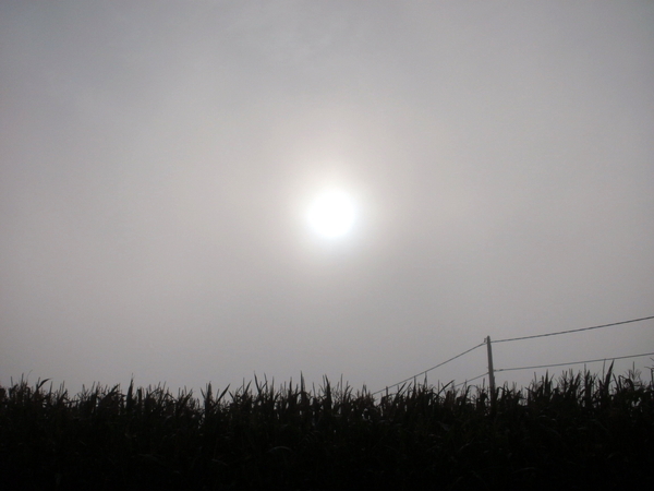 veel mist 's morgens..