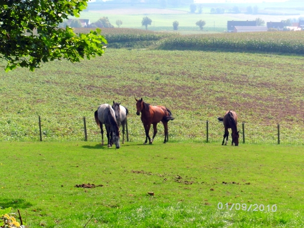 onderweg..