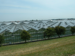 's-Grz Blik over de glazen stad 2005
