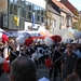 Sint Gillis Dendermonde Bloemencorso 018