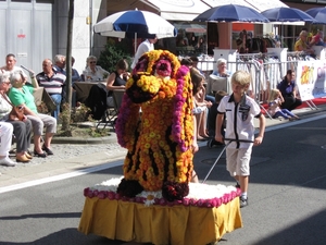 Sint Gillis Dendermonde Bloemencorso 022