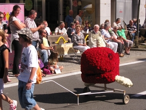 Sint Gillis Dendermonde Bloemencorso 032