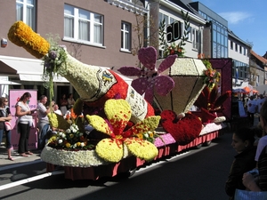 Sint Gillis Dendermonde Bloemencorso 057