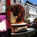 Sint Gillis Dendermonde Bloemencorso 087