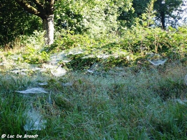 Ardennen wandeling Adeps