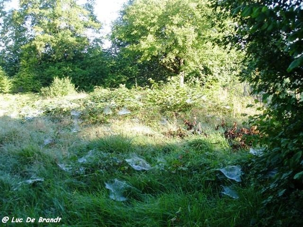 Ardennen wandeling Adeps