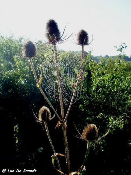 Ardennen wandeling Adeps