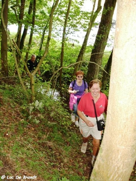 Ardennen wandeling Adeps