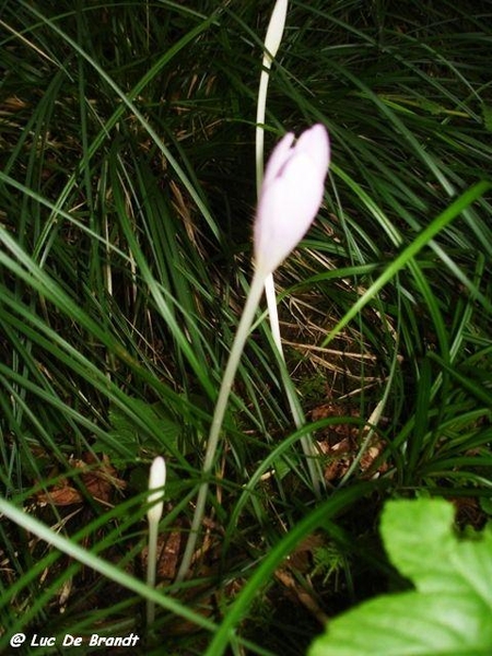 Ardennen wandeling Adeps