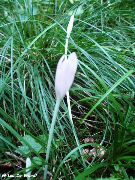 Ardennen wandeling Adeps