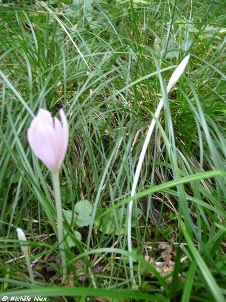 Ardennen wandeling Adeps