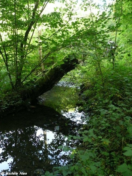 Ardennen wandeling Adeps