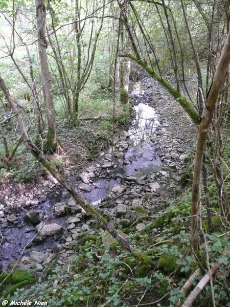 Ardennen wandeling Adeps