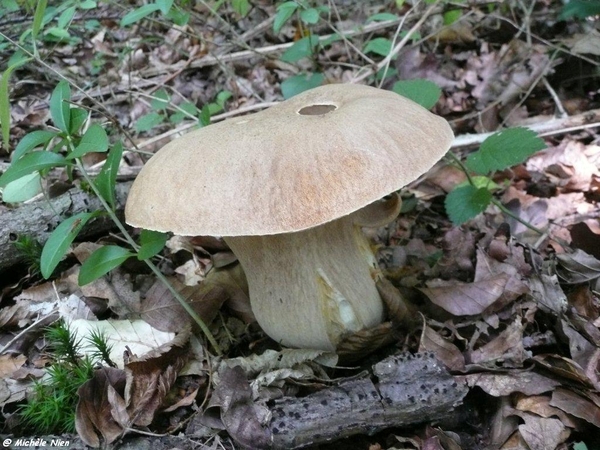 Ardennen wandeling Adeps